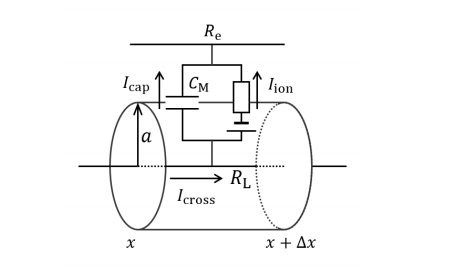Cable theory schematic