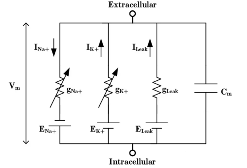Equivalent circuit diagram