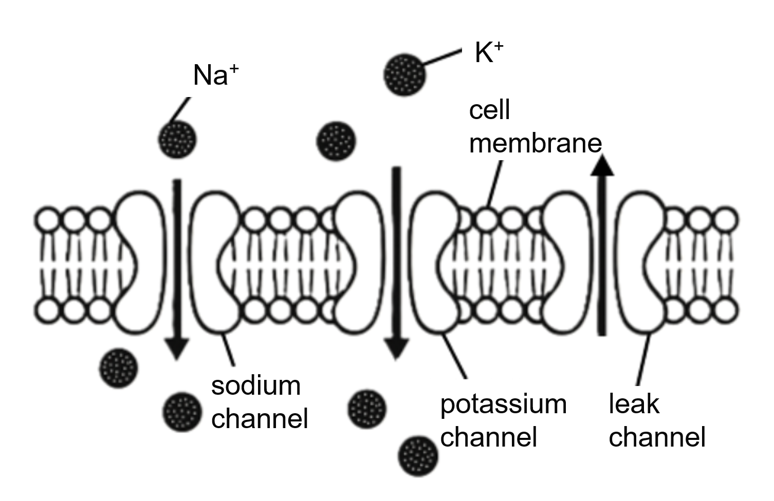 Hierarchical Structure
