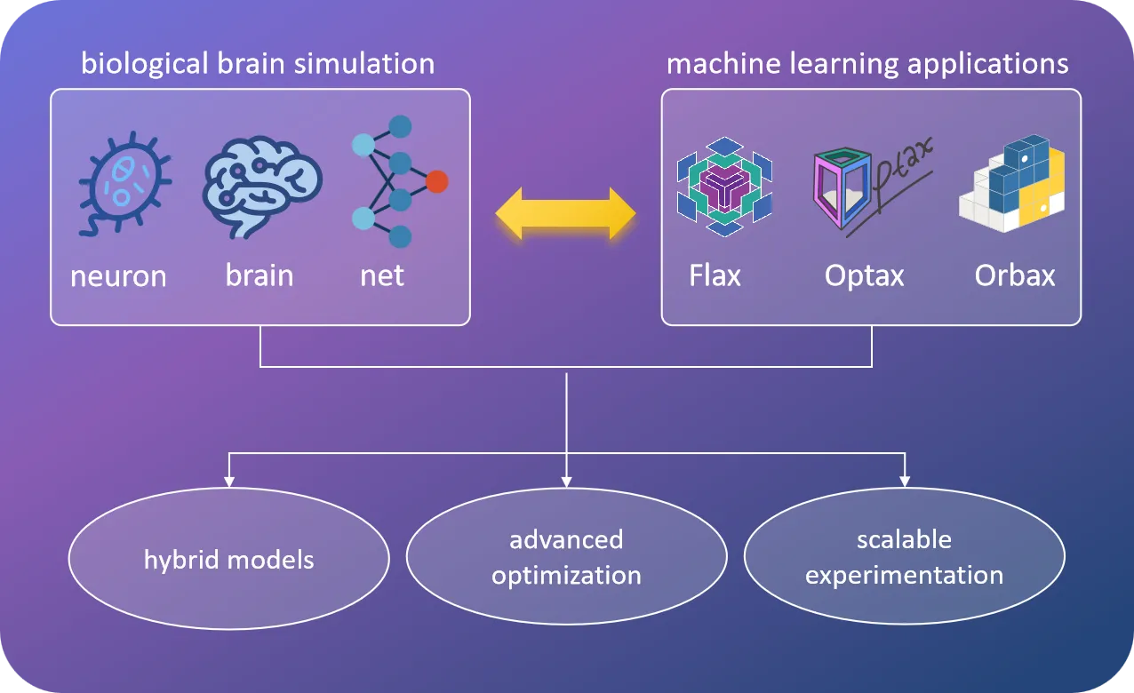 Diagram showing BrainX bridging brain simulation and JAX AI frameworks (Flax, Optax, Orbax).