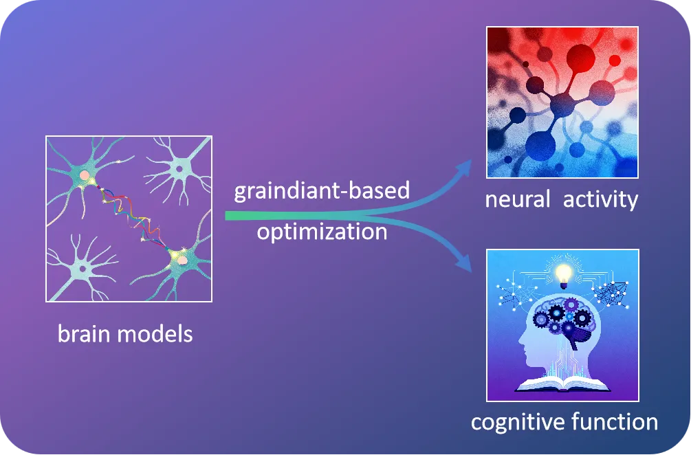 Diagram showing differentiable optimization: BPTT, surrogate gradients, online gradient algorithms.