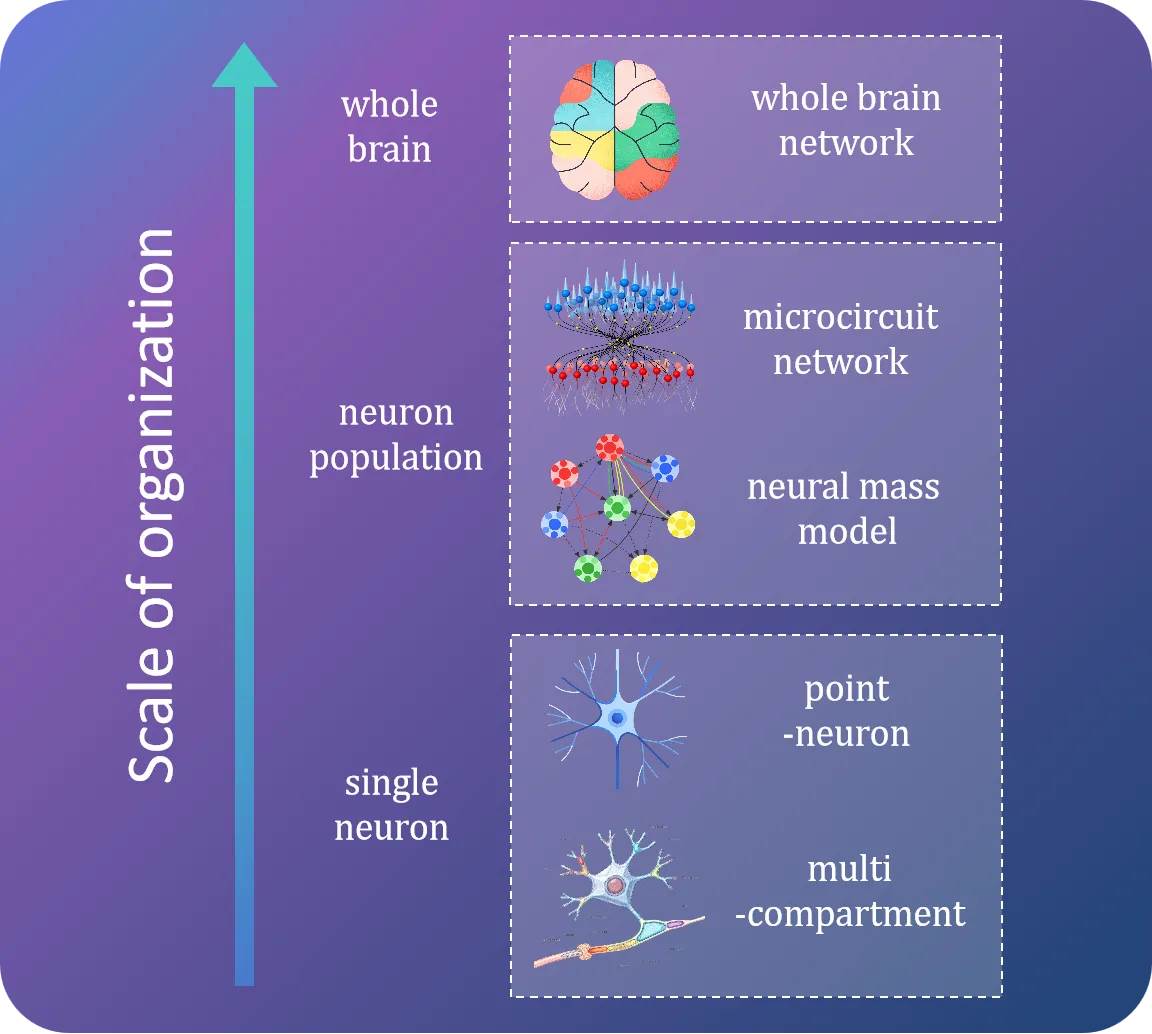 Diagram showing the four BrainX platform capabilities: full-scale simulation, AI compatibility, differentiable optimization, and Powered by JAX.