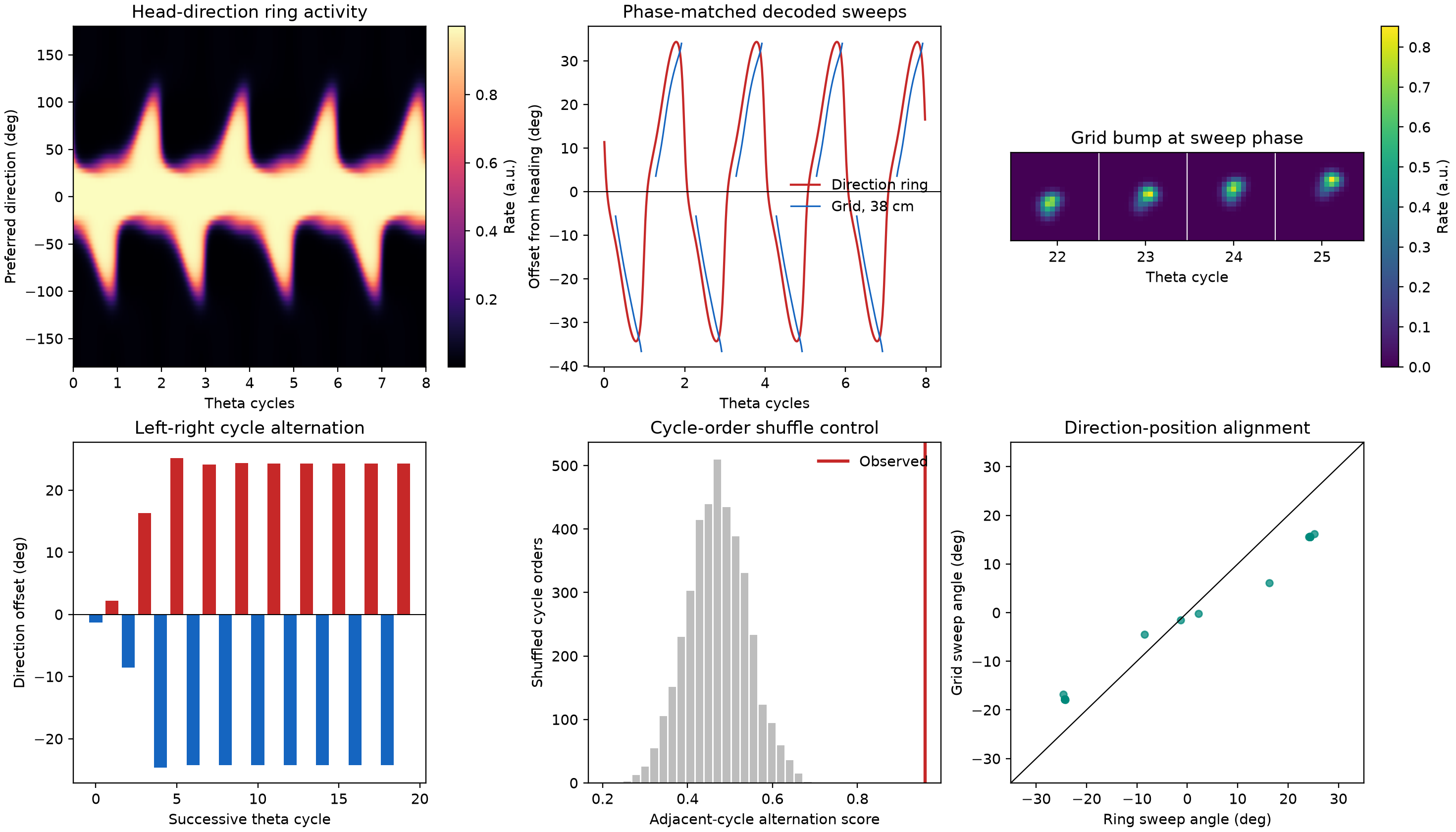 Theta-sweep result panels show alternating head-direction activity, matched direction and grid sweep angles, grid bumps across successive theta cycles, a cycle-order shuffle control, and close direction-position alignment.