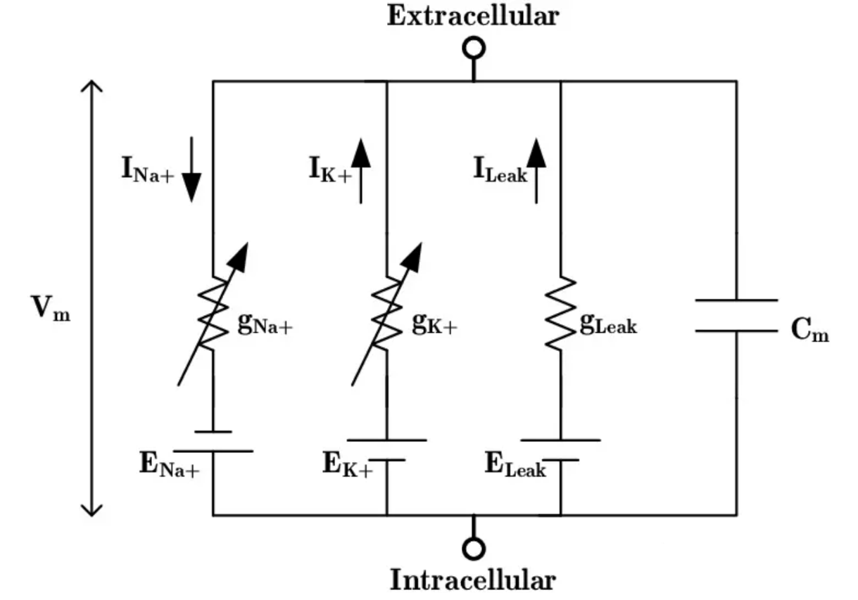 Equivalent Circuit